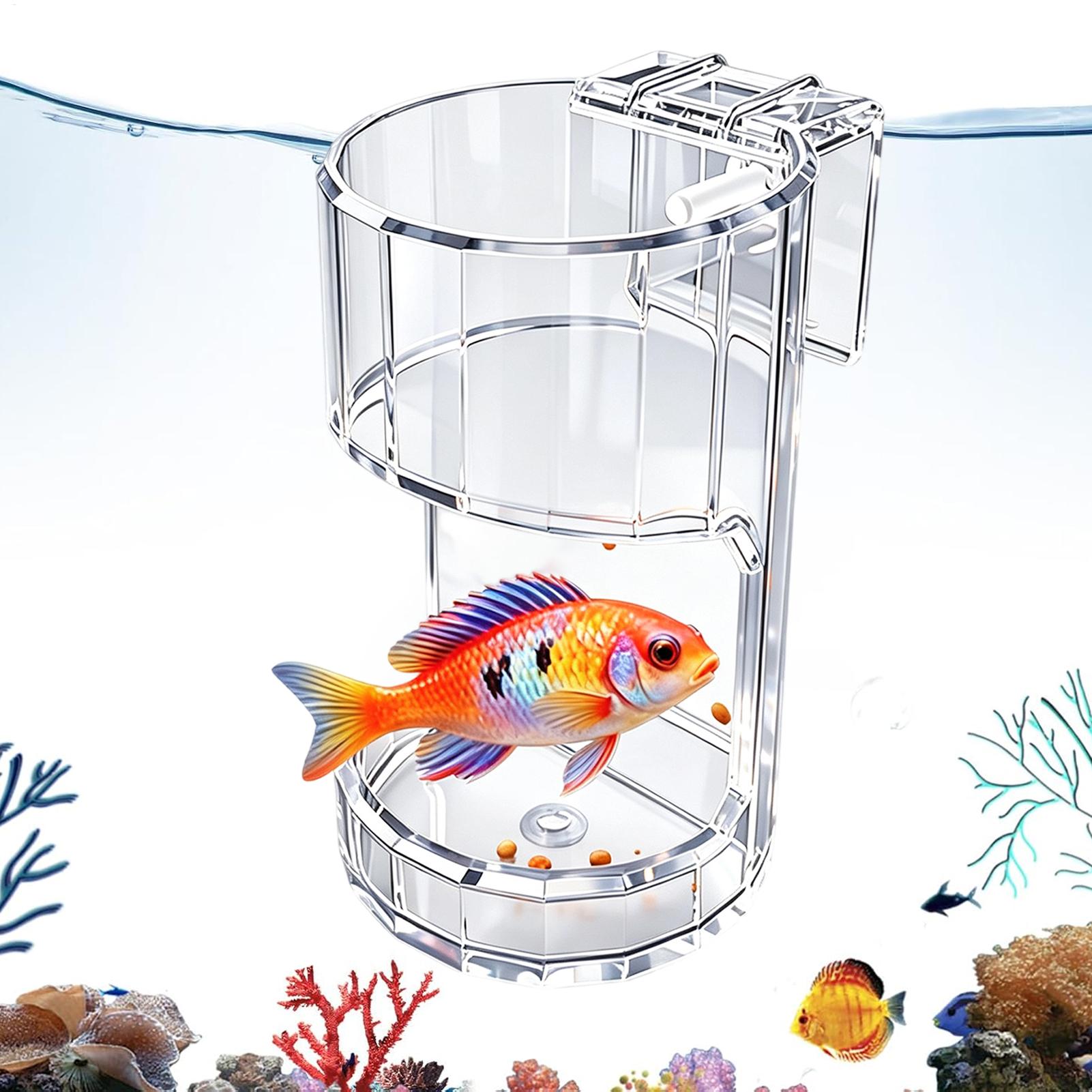 Marine Aquarium Live - Akvaryum Yemlik Kabı Şeffaf Yemlik Kutusu