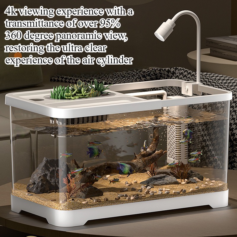 Marine Aquarium Live - Balık tankı ev tipi akvaryum oturma