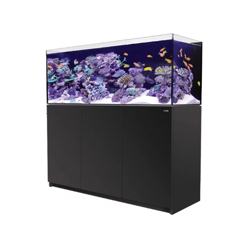Aquarium Marine Setup - Yüksek Kaliteli Çerçevesiz Özel Büyük 150
