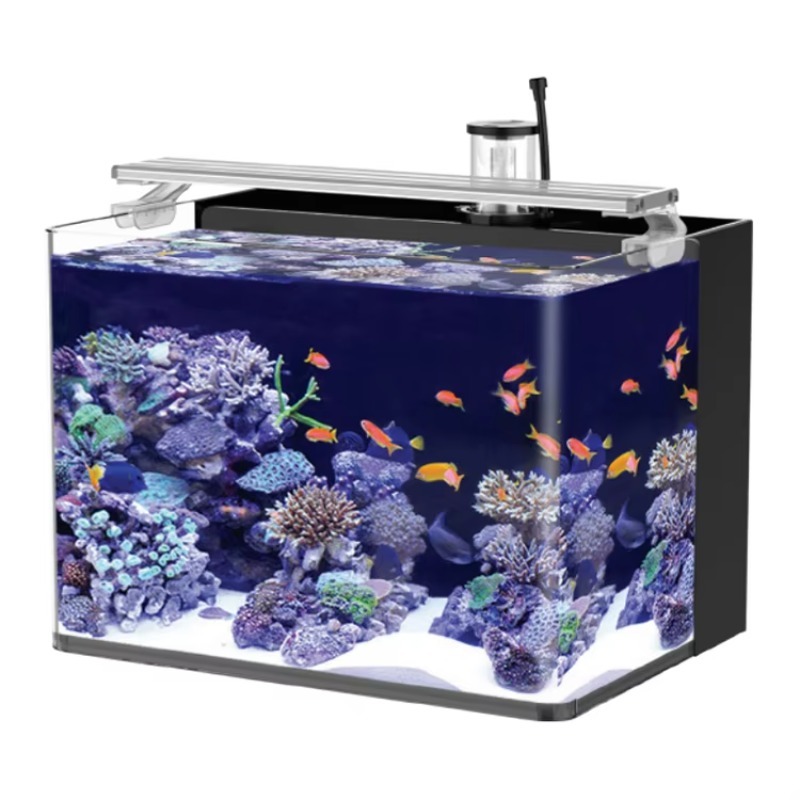 Marine Aquarium Live - Kavisli Tuzlu Su Deniz Balığı Akvaryumu,
