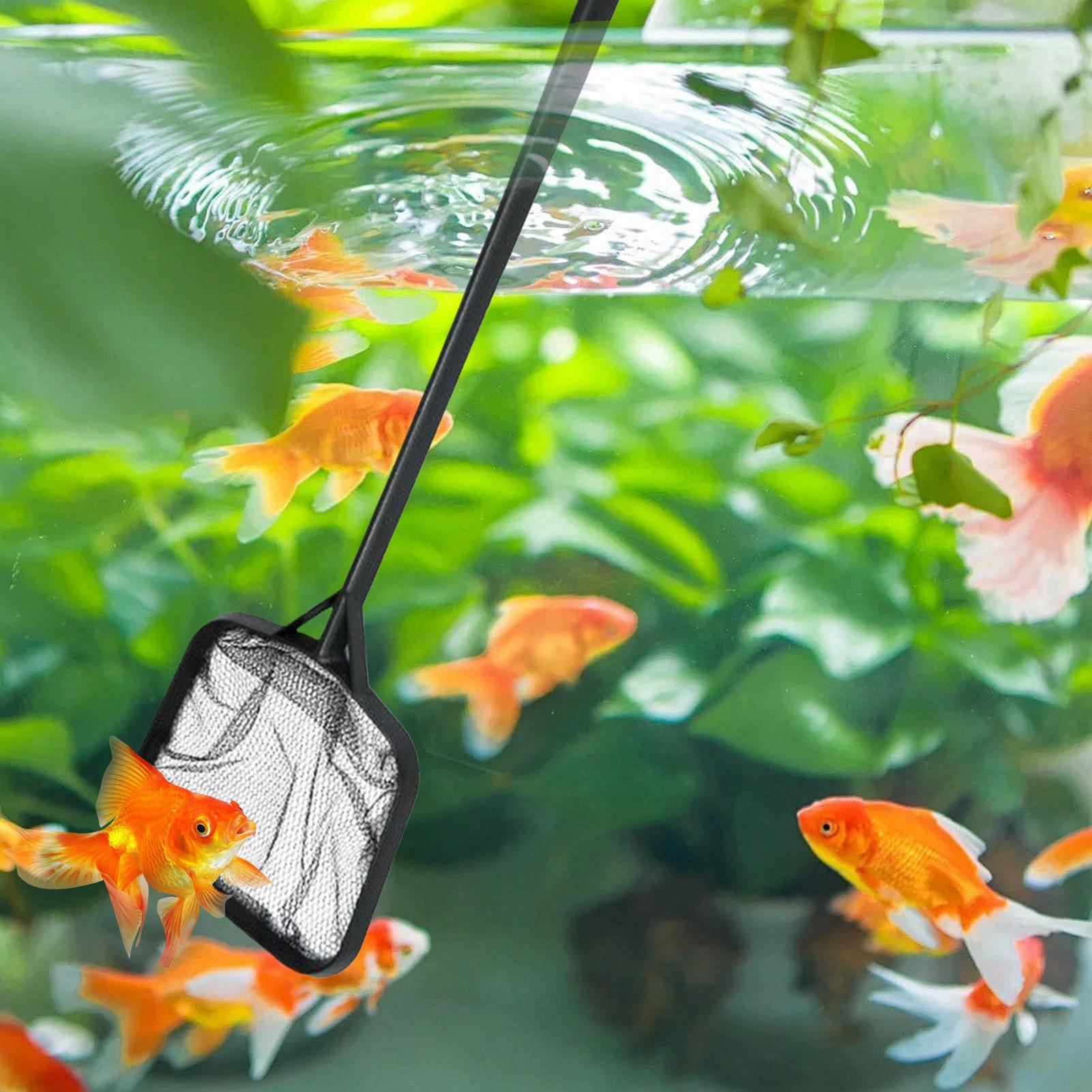 Havuz Temizleme Ağları Taşınab - Marine Aquarium Equipment incelemesi ve fiyatı