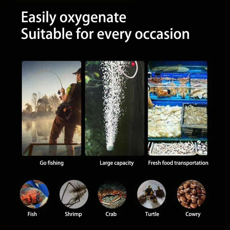 Mini akvaryum hava pompası kit - Marine Aquarium Equipment incelemesi ve fiyatı