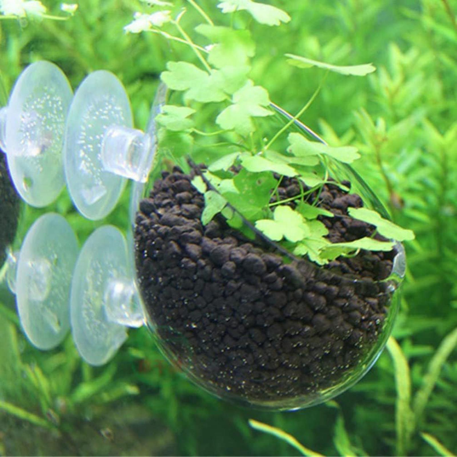 Akvaryum Bitki Tutucu Cam Su B - Marine Aquarium Live incelemesi ve fiyatı