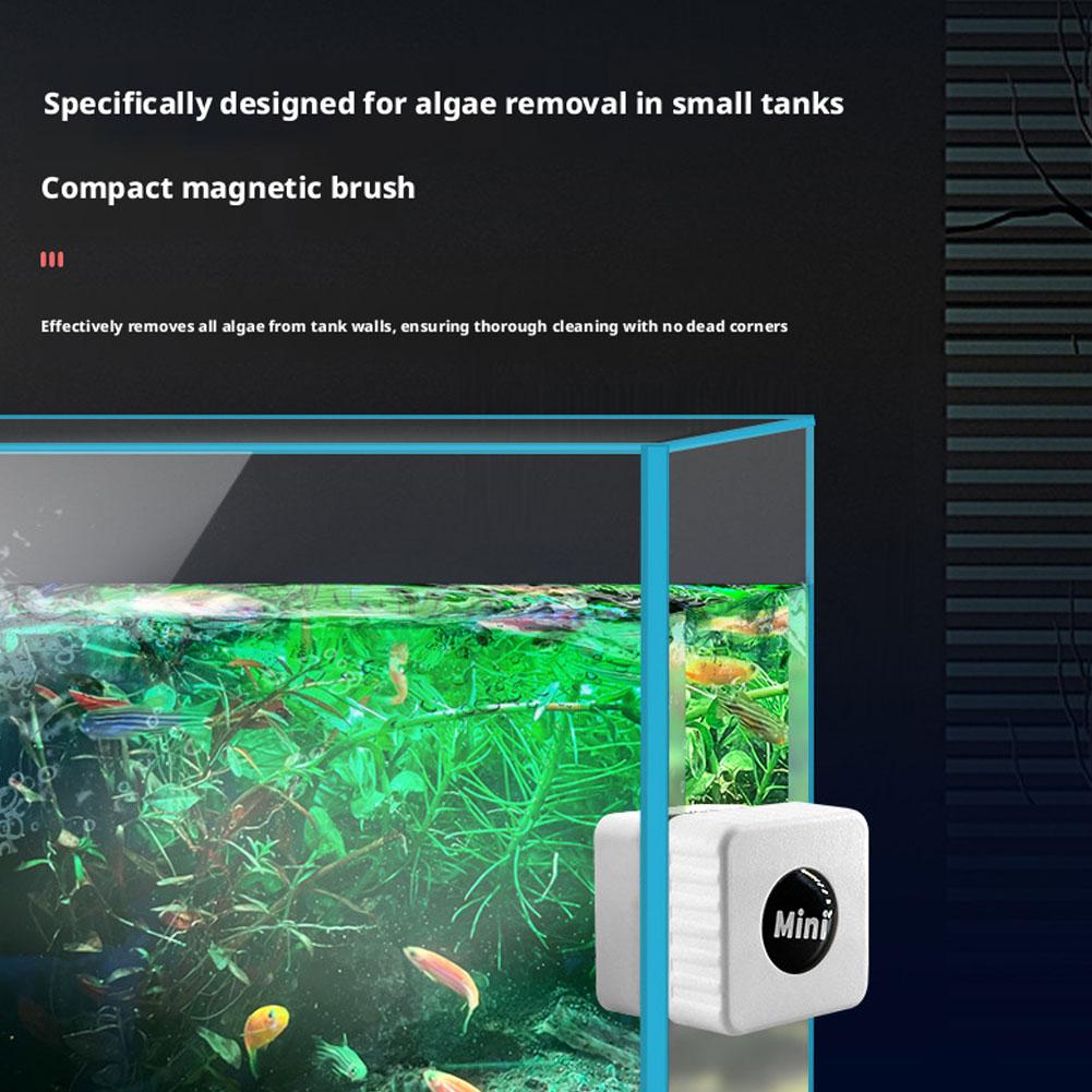 Manyetik Akvaryum Cam Temizley - Marine Aquarium Glass Scraper incelemesi ve fiyatı