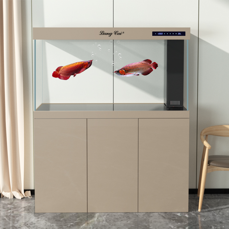Ultra Şeffaf Modern Cam Akvary - Marine Aquarium Live incelemesi ve fiyatı