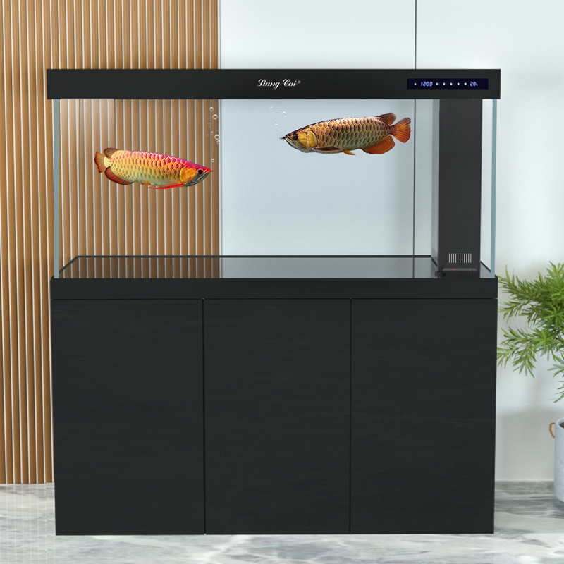 Ultra Şeffaf Modern Cam Akvary - Marine Aquarium Live incelemesi ve fiyatı