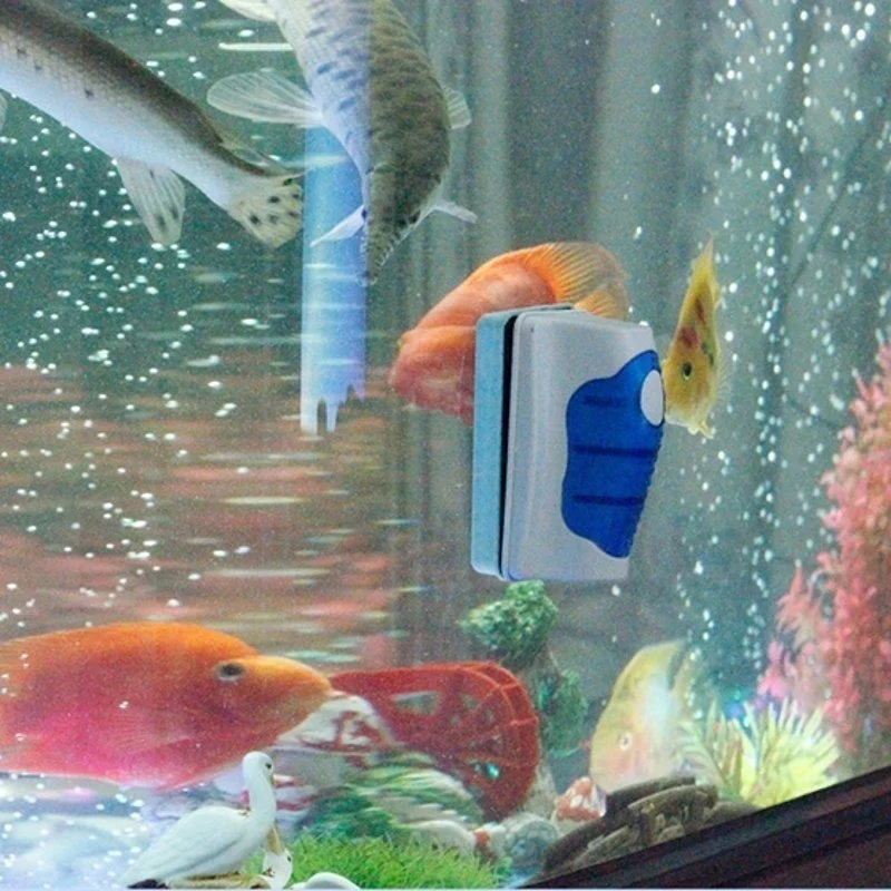Balık tankı cam kazıyıcı temiz - Marine Aquarium Glass Scraper incelemesi ve fiyatı