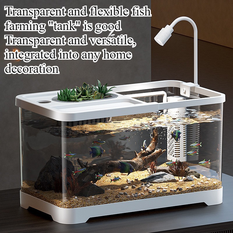 Balık tankı ev tipi akvaryum o - Marine Aquarium Live incelemesi ve fiyatı