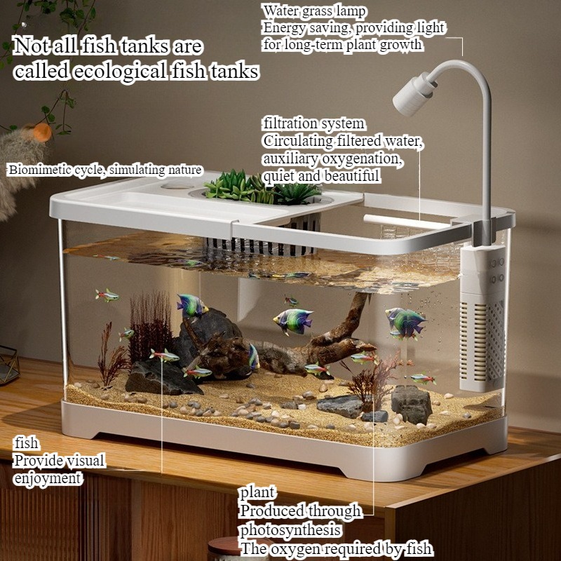 Balık tankı ev tipi akvaryum o - Marine Aquarium Live incelemesi ve fiyatı