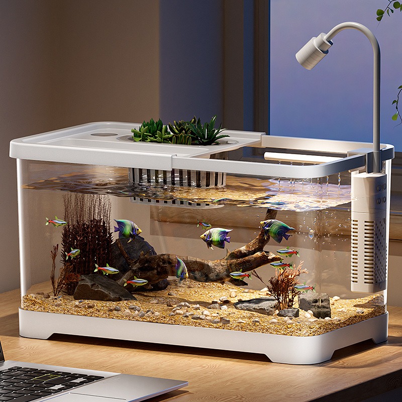Balık tankı ev tipi akvaryum o - Marine Aquarium Live incelemesi ve fiyatı
