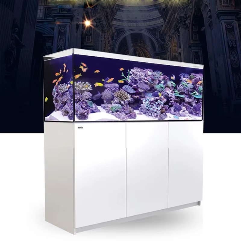 Yüksek Kaliteli Çerçevesiz Öze - Aquarium Marine Setup incelemesi ve fiyatı