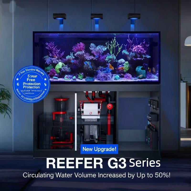 Yüksek Kaliteli Çerçevesiz Öze - Aquarium Marine Setup incelemesi ve fiyatı