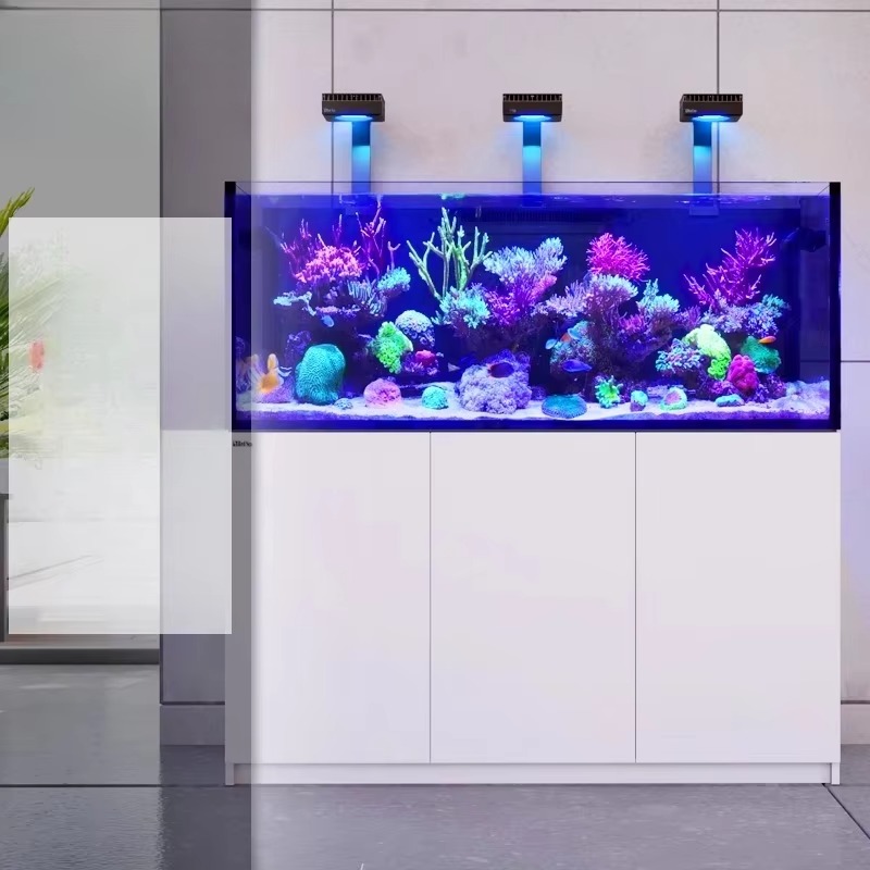 Yüksek Kaliteli Çerçevesiz Öze - Aquarium Marine Setup incelemesi ve fiyatı