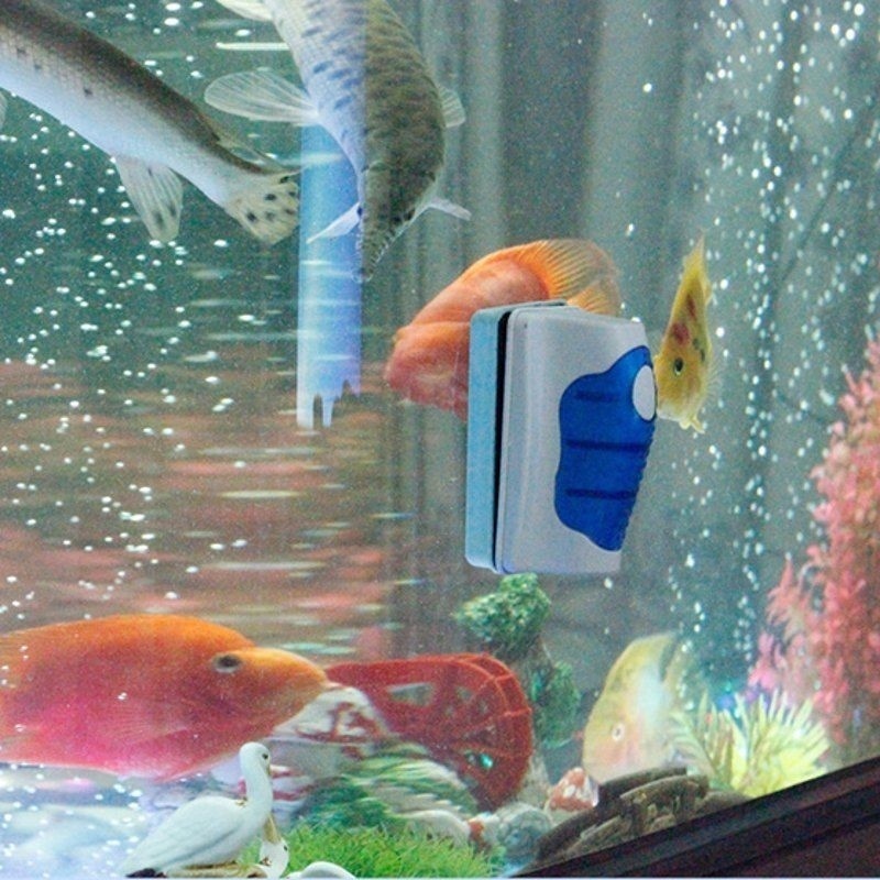 Balık Tankı Cam Kazıyıcı Temiz - Marine Aquarium Glass Scraper incelemesi ve fiyatı