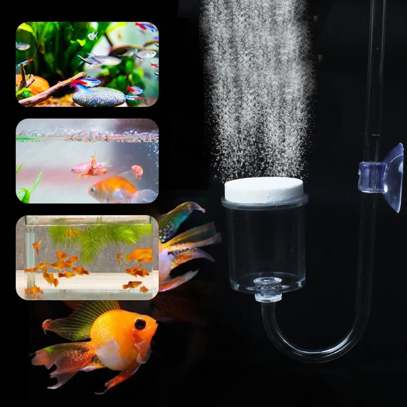 4 adet Set DIY CO2 difüzör içi - Marine Aquarium Live incelemesi ve fiyatı